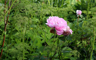 Similar image 21989993