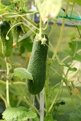 Similar image 21990000