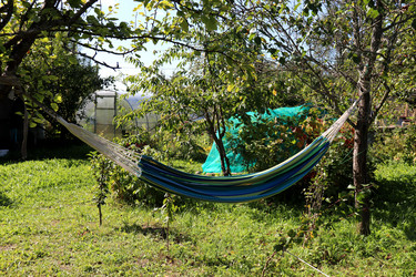 Similar image 21990001