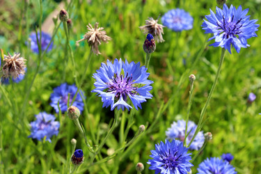 Similar image 21990004