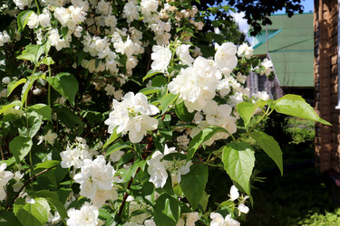 Similar image 21990005