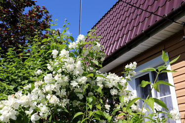 Similar image 21988442