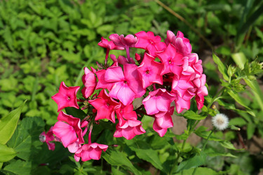 Similar image 21990009