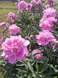 Similar image 21988118