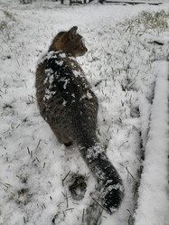 Similar image 21988119