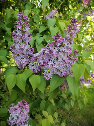 Similar image 21988120