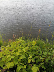 Similar image 21988121