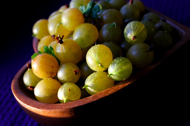 Similar image 21988133