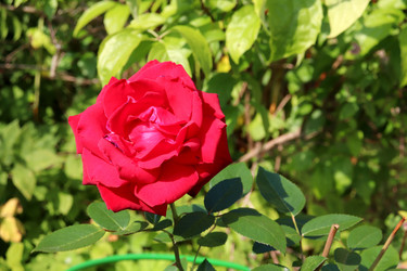 Similar image 21988447