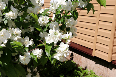 Similar image 21990011