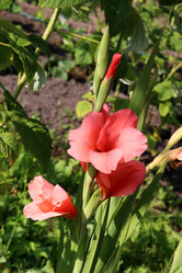 Similar image 21988449