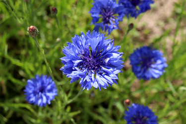 Similar image 21988450