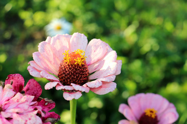 Similar image 21990013