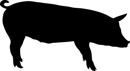 Similar image 21988556