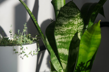 Similar image 21990404