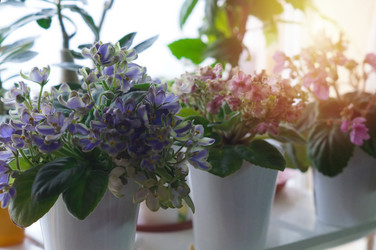 Similar image 21988453