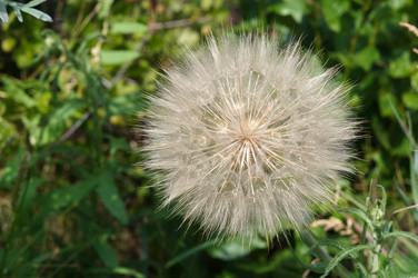 Similar image 21988455