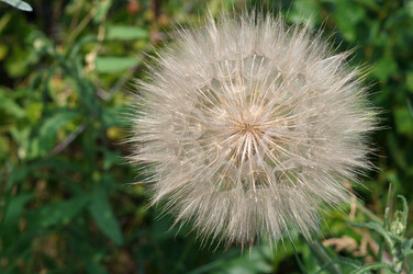 Similar image 21990405