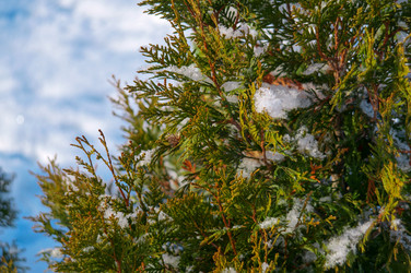 Similar image 21988457