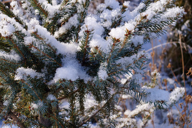 Similar image 21988459