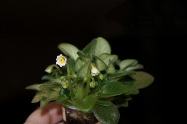 Similar image 21990406