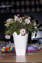 Similar image 21988461