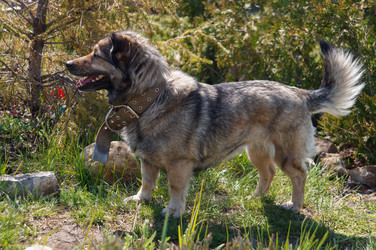 Similar image 21988466