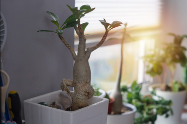 Similar image 21990407