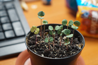 Similar image 21988467