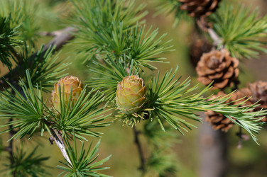 Similar image 21990408