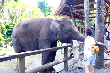 Similar image 21989338