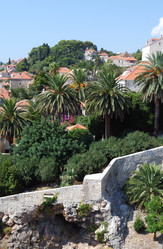 Similar image 21988655