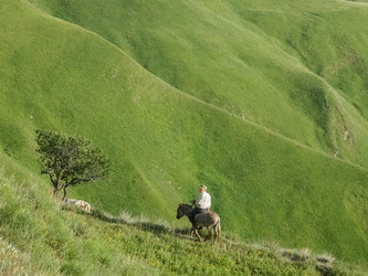 Similar image 21989340