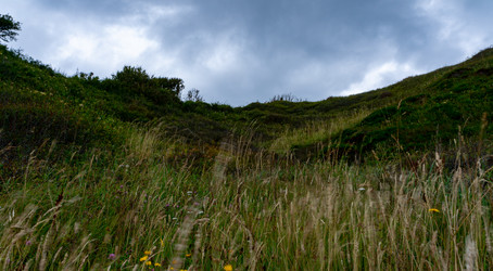 Similar image 21988665