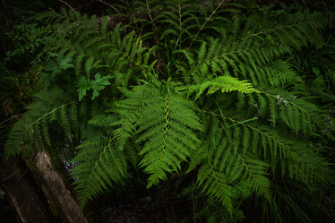 Similar image 21988667