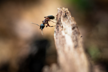 Similar image 21988668