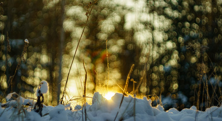 Similar image 21988672