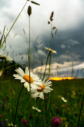 Similar image 21988673