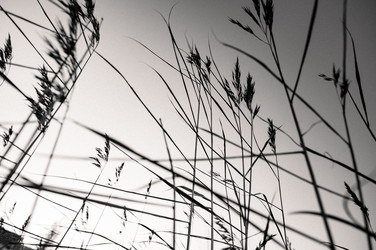 Similar image 21988675