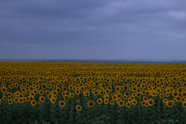 Similar image 21989342