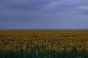 Similar image 21989343