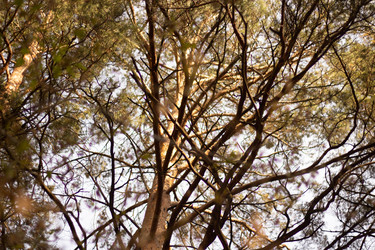 Similar image 21989344