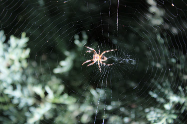 Similar image 21989347