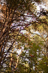 Similar image 21989348