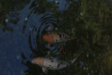 Similar image 21989349