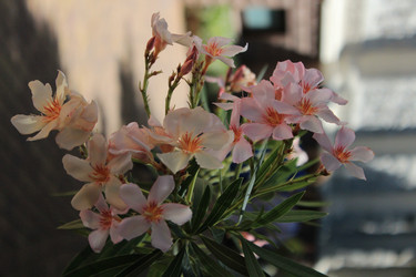 Similar image 21989350