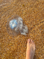 Similar image 21991317