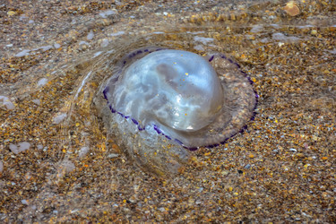 Similar image 21990835