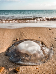 Similar image 21990866