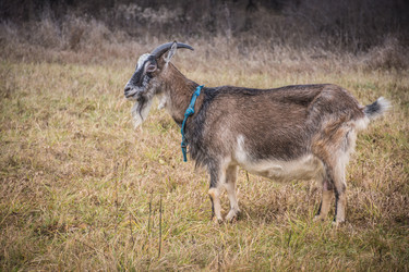 Similar image 21991083